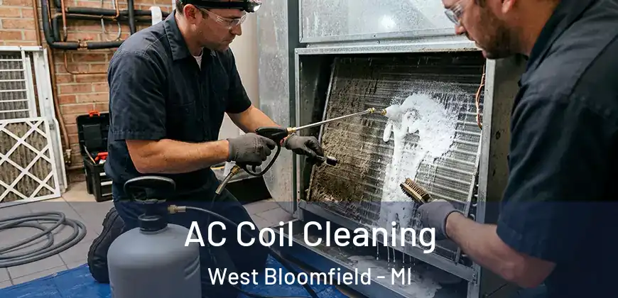 AC Coil Cleaning West Bloomfield - MI
