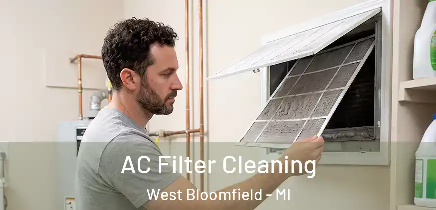  AC Filter Cleaning West Bloomfield - MI