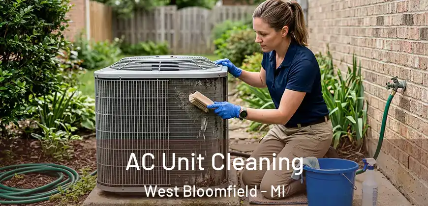  AC Unit Cleaning West Bloomfield - MI