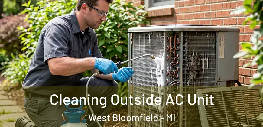  Cleaning Outside AC Unit West Bloomfield - MI